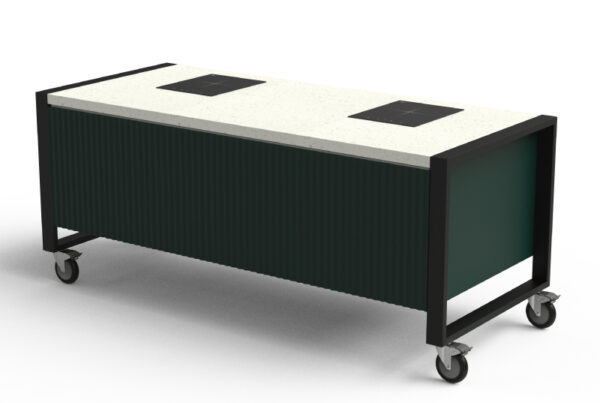 Cooking Station with Two Induction Units